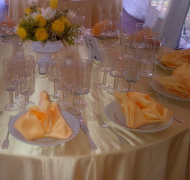 Orange Napkins 